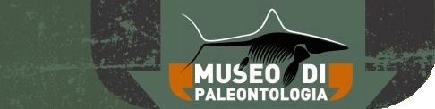 Museo di Paleontologia